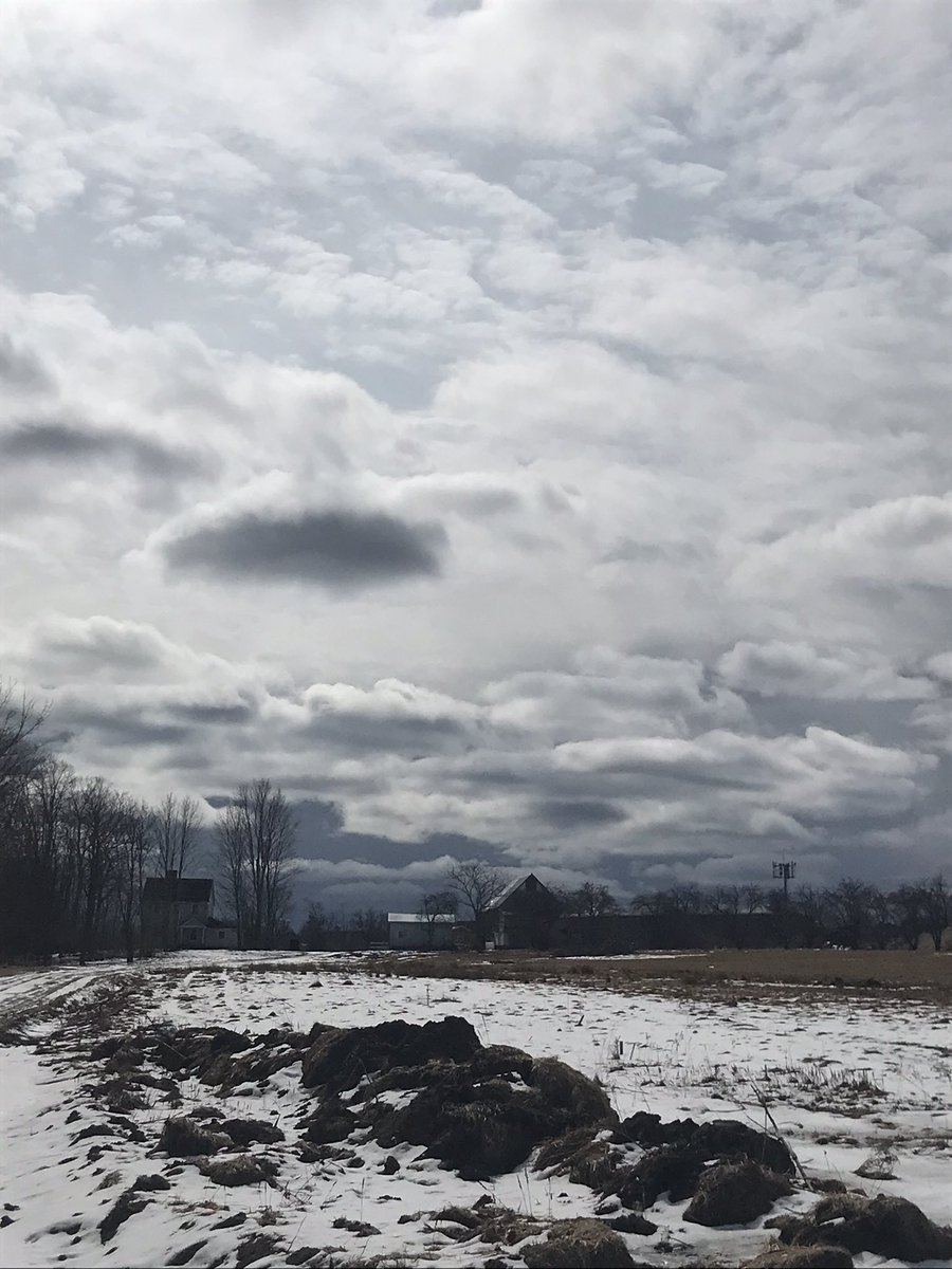 dawnymock's tweet image. #runview What a sky 💕