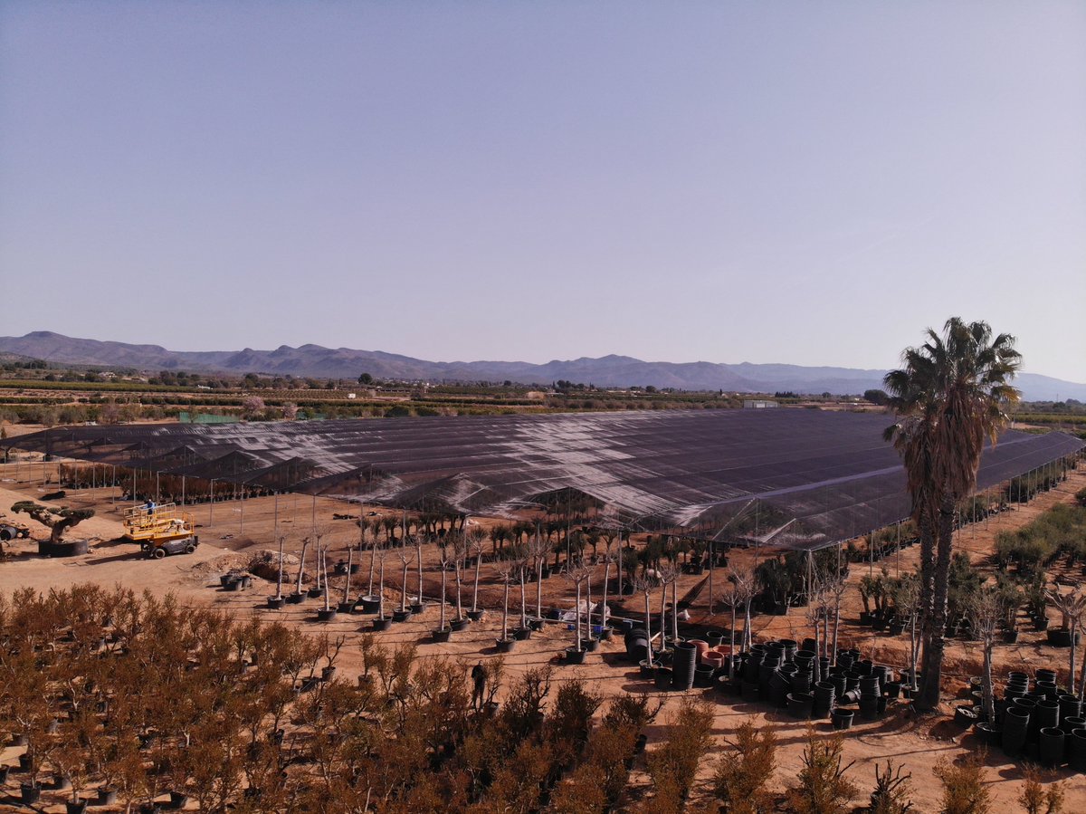 🌟 Uniendo Cielo y Tierra: La Danza de Innovación de Invernaderos Campos 🛠️

Observa desde las alturas cómo nuestras estructuras multicapilla se extienden como lienzos verdes en el vibrante tapiz de Alicante y Valencia.