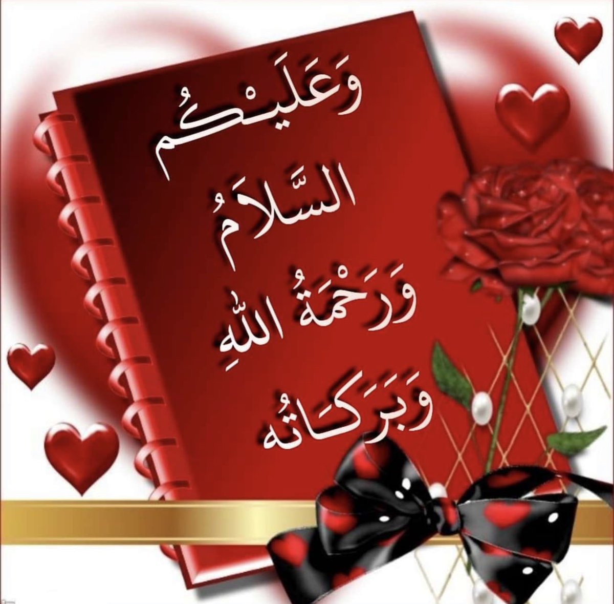 Osaz99's tweet photo. @ax1772 https://t.co/U8FhtX4eob