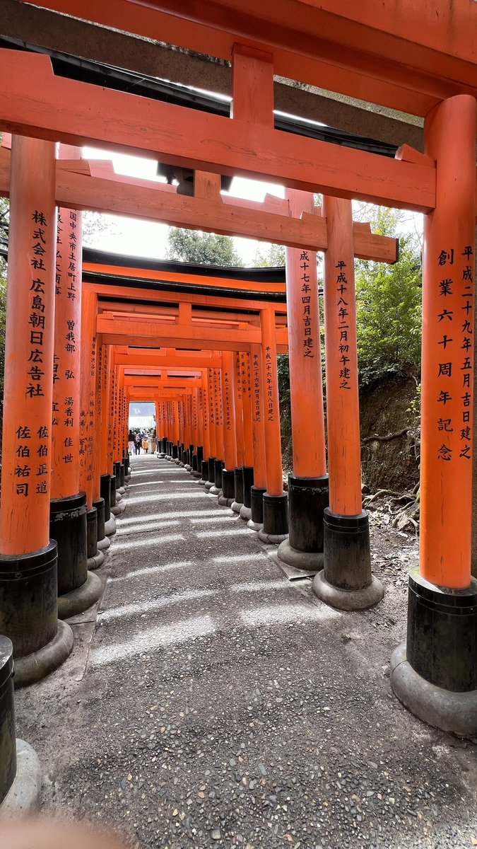 shirley319's tweet photo. Fushimi Inari Shrine in Kyoto 

https://t.co/4HtztYccnS

#kyoto #japan https://t.co/SleZDQQiCf