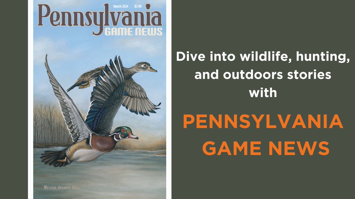 Elevate your reading GAME! Subscribe to Pennsylvania Game News for monthly wildlife, hunting, and outdoors stories. Uncover a wild world with each issue! Subscribe here: huntfish.pa.gov.