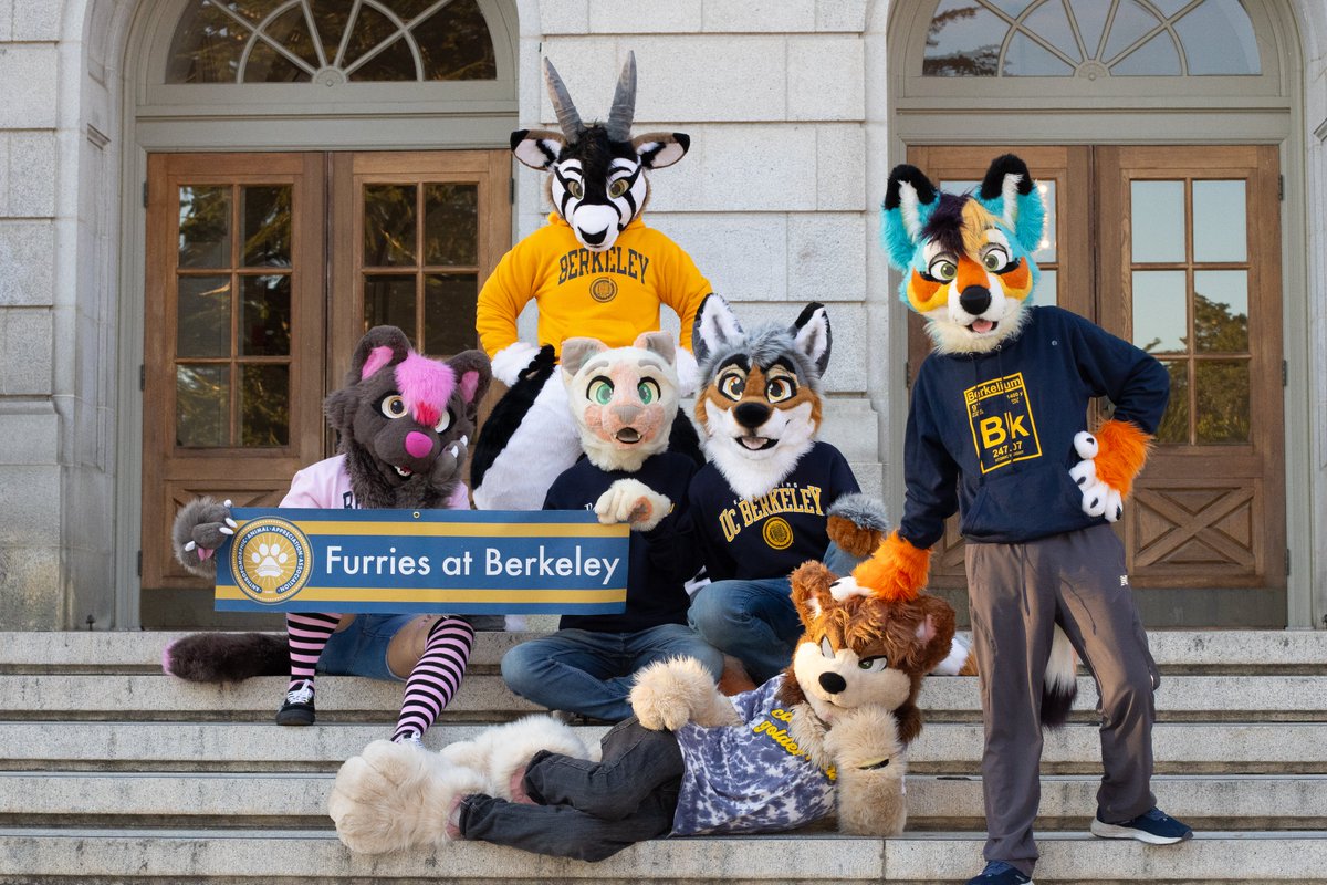 Repping Golden Bears! Showing Cal Spirit with #FurriesAtBerkeley dripped out in gold! (cal store x furries collab) #CalBigGive