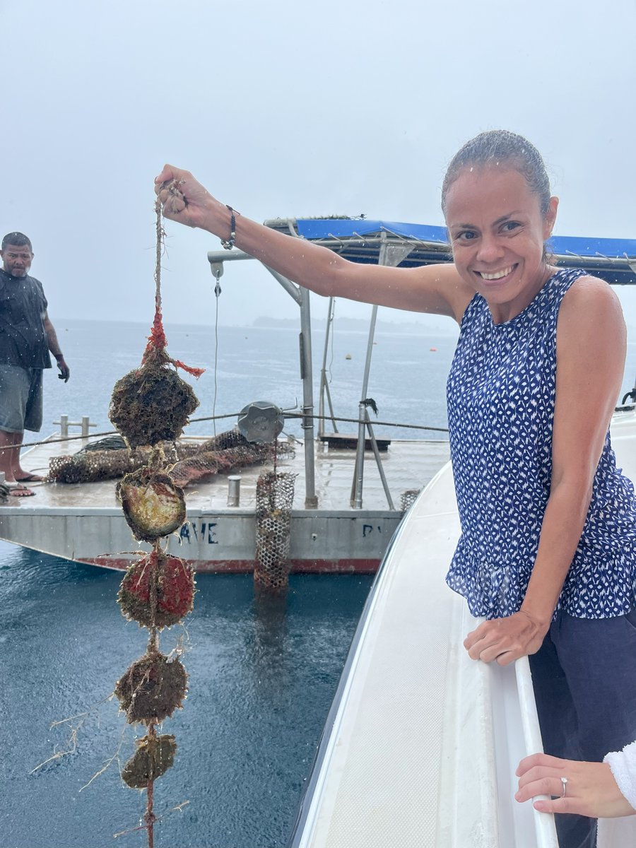 IISD Resilience tweet media