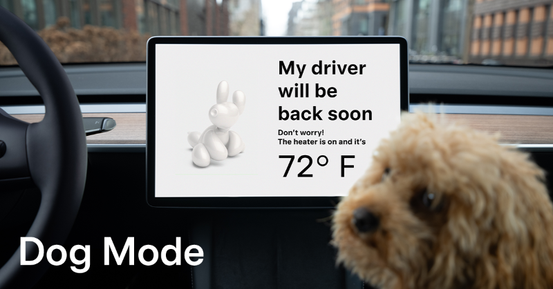 Tesla's tweet photo. Take them anywhere. 

Dog Mode keeps the climate on, doors locked and pets comfortable while you're gone.