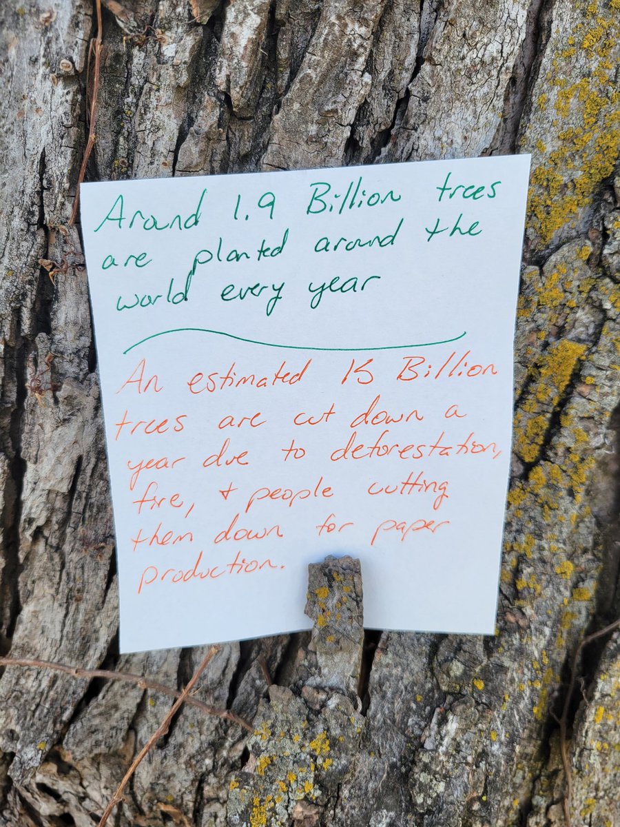 ComicsClimate's tweet image. Comic #161 #ComicsForClimate #Pakistan #trees #treeplanting #deforestation #Planttrees #EarthNeedsUs #OnlyOnePlanet #oxygen #climate #climatechange #CantLiveWithoutAir