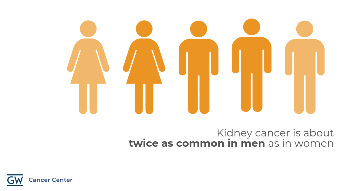 Today is #WorldKidneyDay. Did you know kidney cancer is about twice as common in men as in women? Learn more: cancercenter.gwu.edu/specialties/ki…