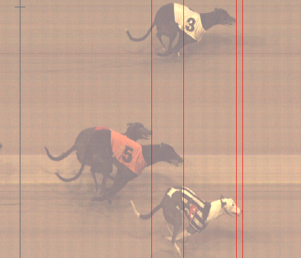 MonmoreRacing's tweet photo. Thursday 14th March - Race 2 (A8)
Photofinish📸
Winner Trap 6 - Longacres Alpine🥇
Second Trap 3 - Winterfield Trix🥈
Third Trap 5 - Straight Fire🥉
Winning Time = 29.49⏰ https://t.co/InJjFzQTOU