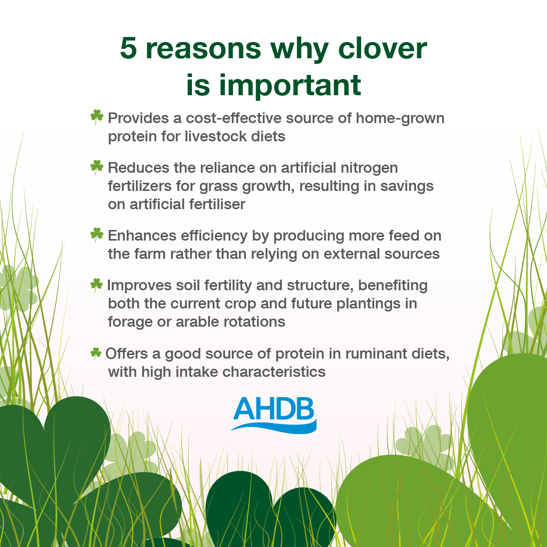 🗣Did you know that for every 10% ⬆ in the amount of ☘ in the sward, the crude protein content of the first-cut silage ⬆ by 1%❓❗ ☘ Using clover can give a boost to your farm, join us at one of our events this April to unlock its true potential 👉 ow.ly/V5JW50QTzfy