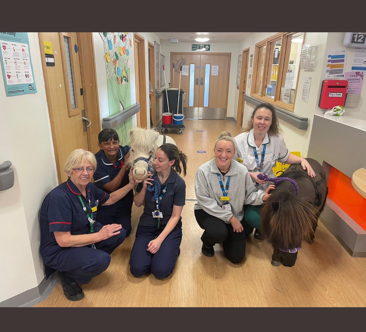 Alexandra Short tweet media