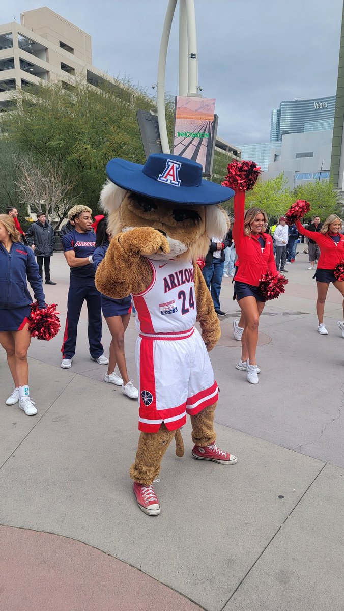 AZPuffins's tweet photo. It's time...time for the Wildcats to Bear Down at the Pac-12 Tournament in Las Vegas!

#BTFD #Pac12MBB https://t.co/kiMJITuIBS