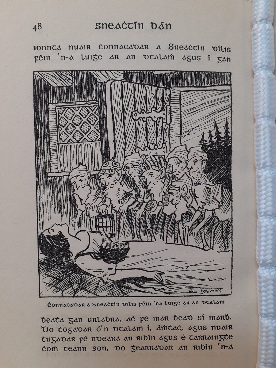 'A scátháin a ghile, a scátháin gan bréag. Cé hé an duine is áilne sa tsaoghal?' 🪞 Tá muid i ngrá leis na híomhánna ghleoite seo de Sneachtín Bán ó Na Scéalta Grimm a d'aistrigh Máire Ní Chinnéide i 1923. #SnaG24