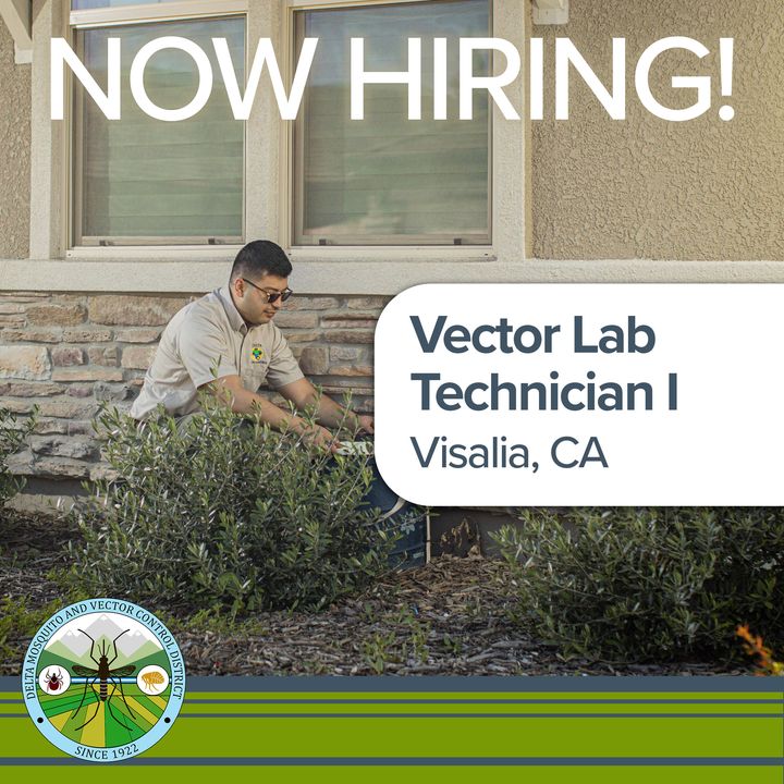 Delta MVCD is looking for a seasonal Vector Lab Technicians! 

This position helps the District with mosquito surveillance throughout northern Tulare County. Apply today on our website. Link in bio.