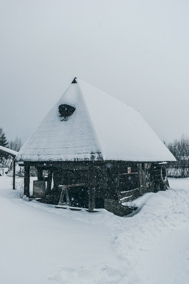 Bradley Stafford tweet media