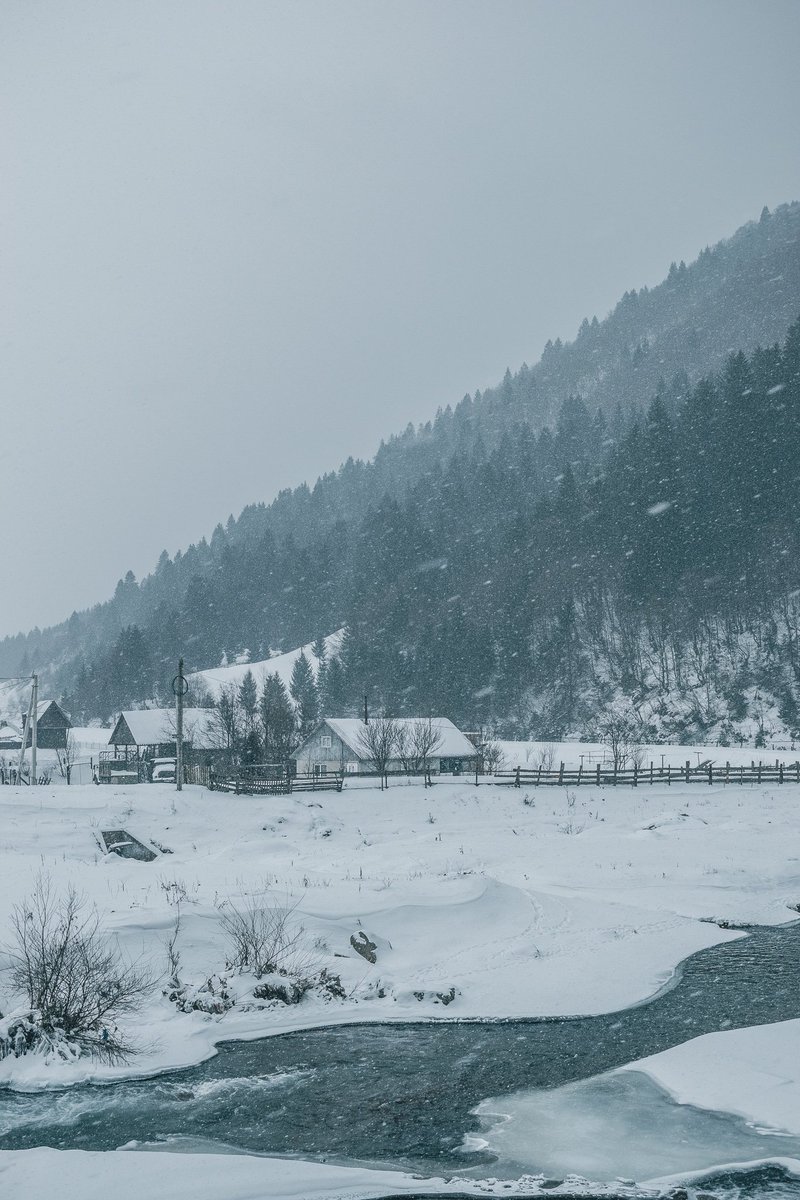 Bradley Stafford tweet media