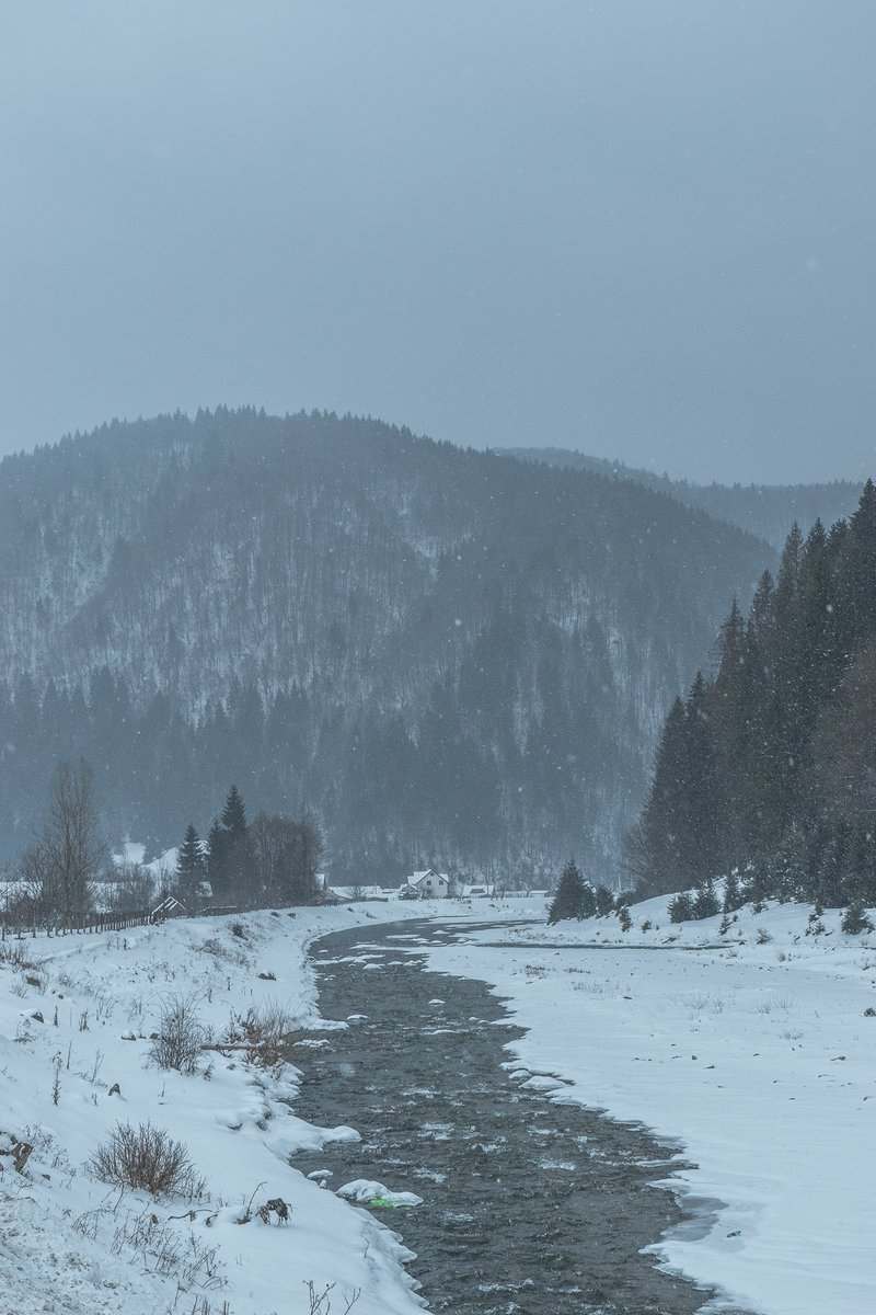 Bradley Stafford tweet media