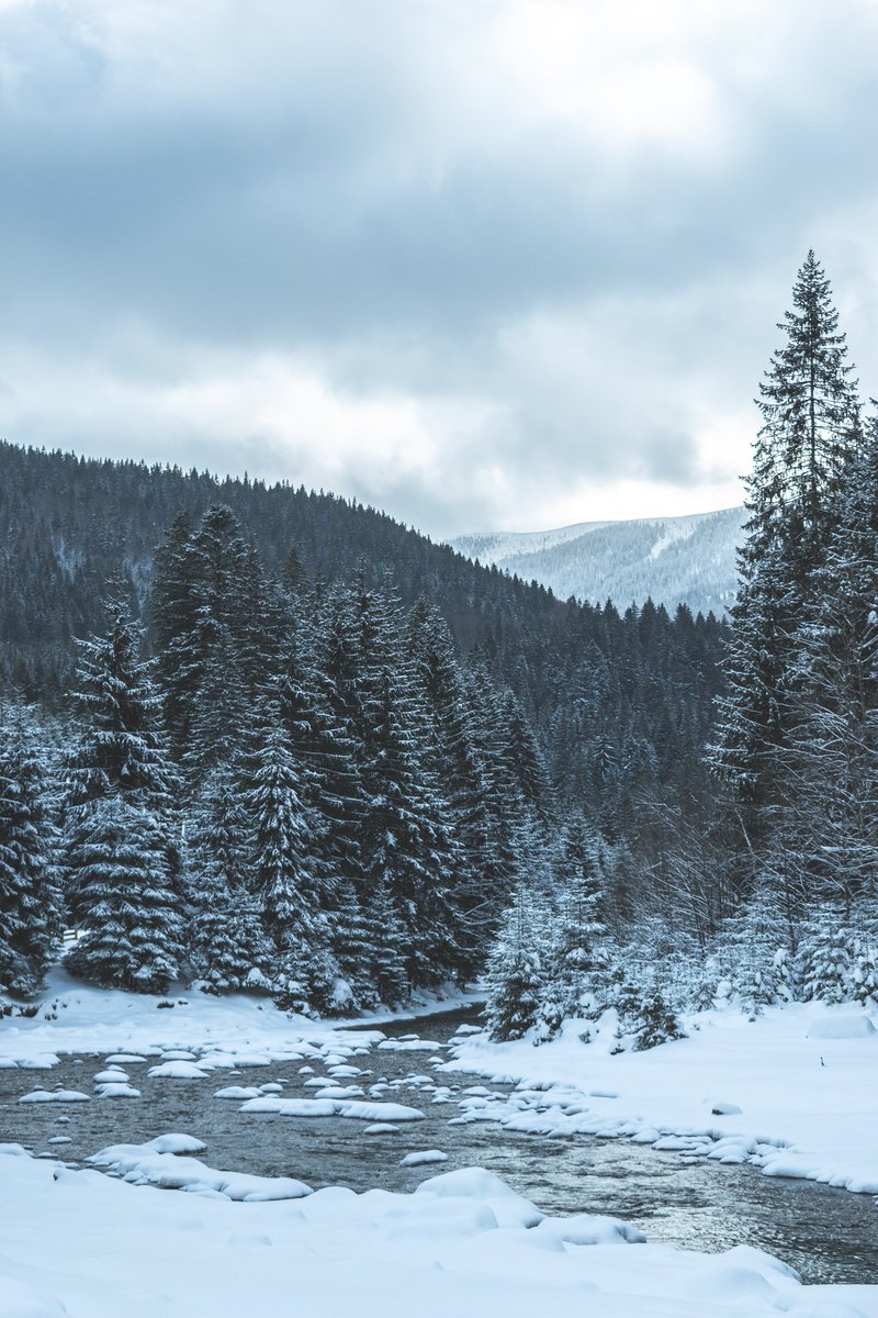 Bradley Stafford tweet media