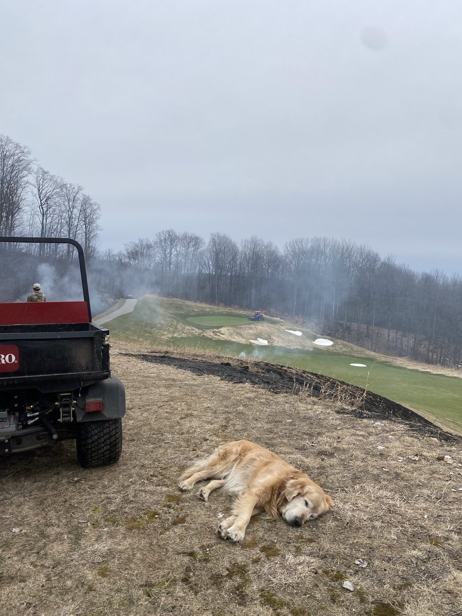 jvercautren's tweet image. Native burning and deep tine aerification wore Divot out today. #dogsofturf