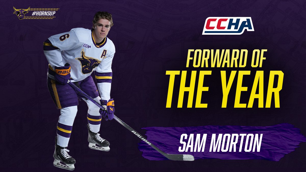 Minnesota State Hockey tweet media