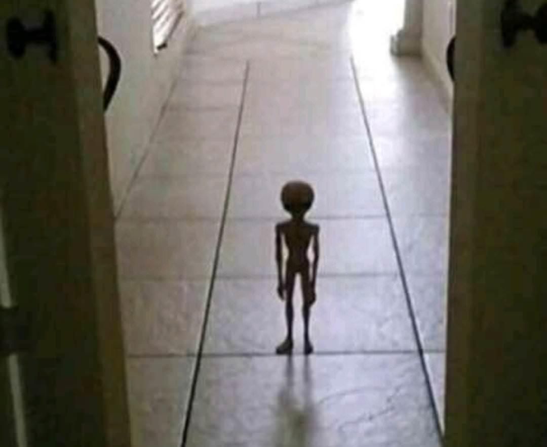 My vibe for the next 24 hours