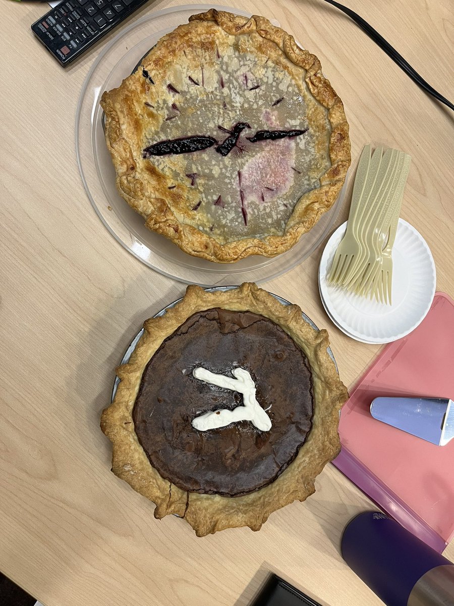 It’s a great day when you and your lab mate accidentally opposite twin and you celebrate Pi Day with homemade pies in lab meeting!🥧