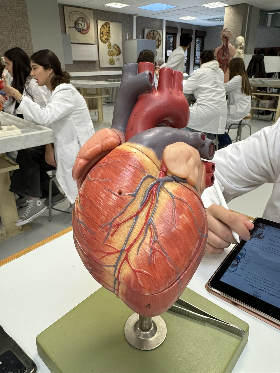 No son prácticas es SABIDURÍA 🫀😂<a href="/marta_suuarez/">Marta Suárez Blanco</a>