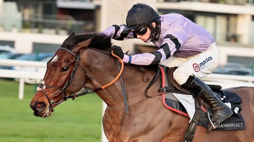 Elite Owners Group Fan Club tweet media