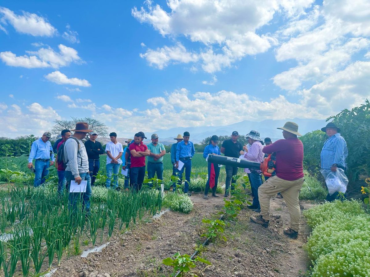 ProyectoATRACSI's tweet photo. En Honduras llevamos a cabo un taller sobre Manejo Integrado de Plagas a 26 productores de vegetales orientales en colaboración con #FHIA, buscamos mejorar la calidad y competitividad de los productos y promover la #AgriculturaSostenible para fortalecer el comercio🌿🌍 https://t.co/3kS6tIwJbX