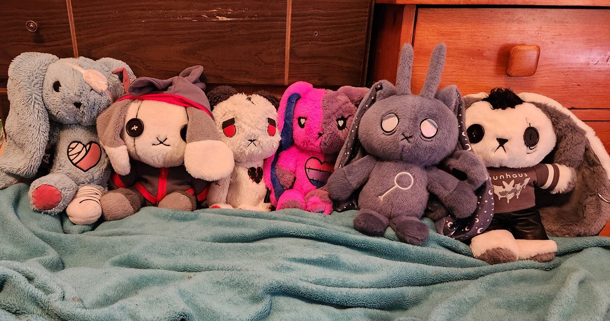 Here are all of the #PlushieDreadfuls currently here at #TheHugHouse. Girl is wanting to try to find a new bag better suited to Bun travels than our curious one.