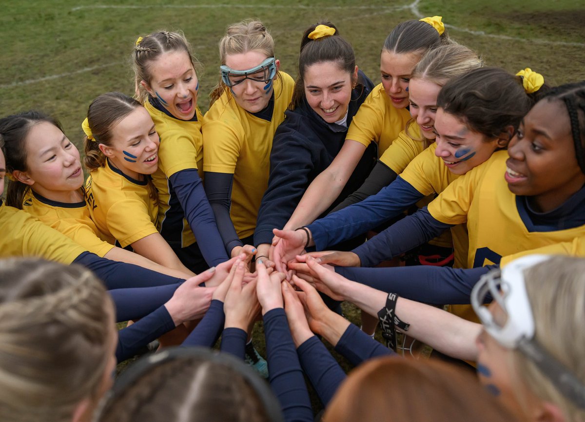 Miss Halliday tweet media