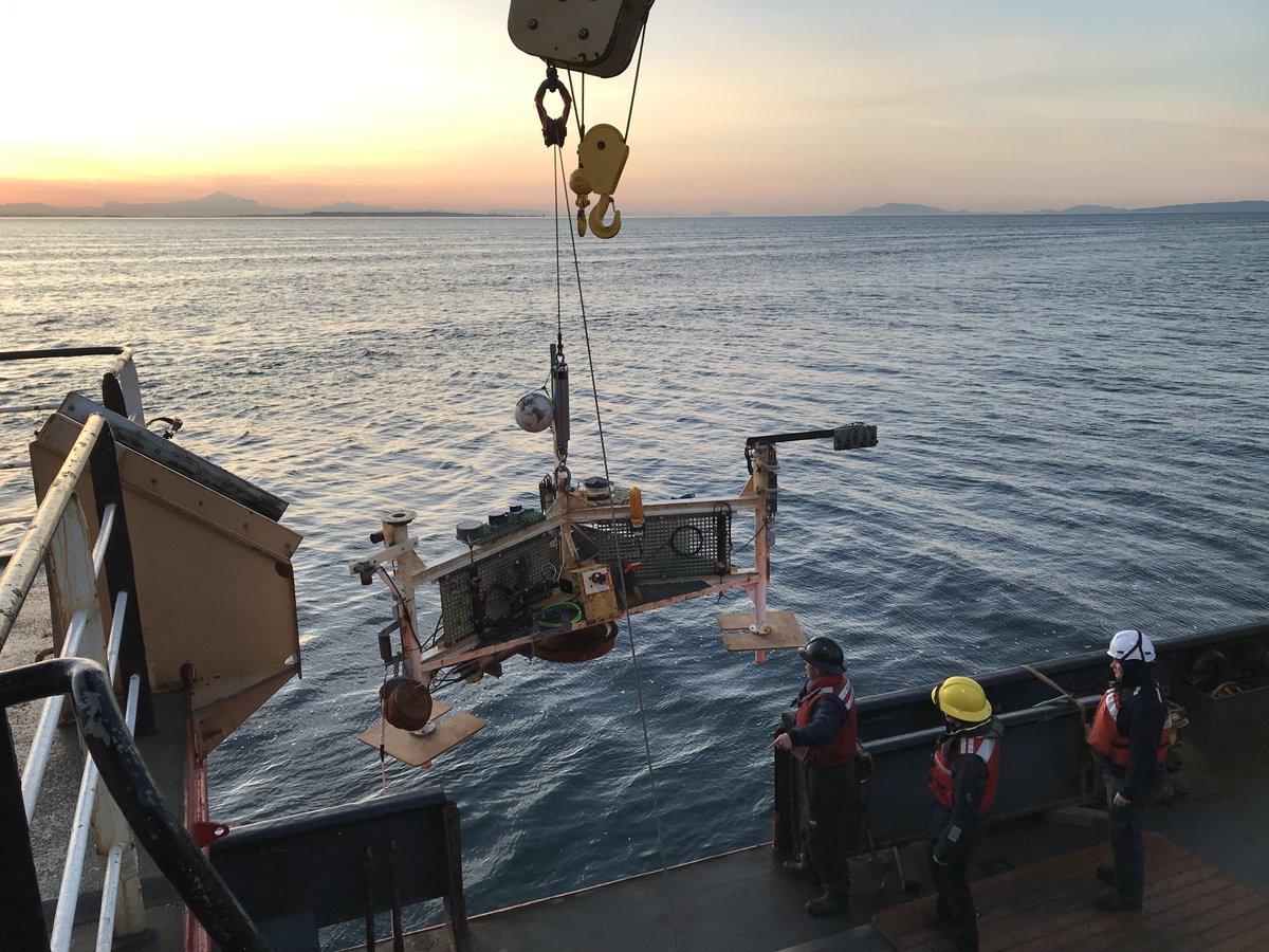 Ocean_Networks's tweet photo. 7/🧵Q: What kind of research is happening?
Gwyn: We are looking at underwater landslides with an instrument platform called the #DeltaDynamicsLab.
#ONCabyss #KnowTheOcean #Ship2Shore @NRCan https://t.co/tN6KVxtOQf