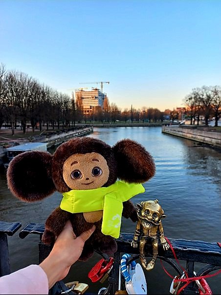 Kaliningrad Region tweet media