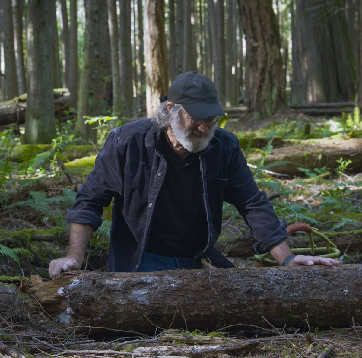 PaulStamets's tweet photo. Nature appreciation post ✌🏻Go out and get some fresh air today! https://t.co/p9hfP5UZ2Z