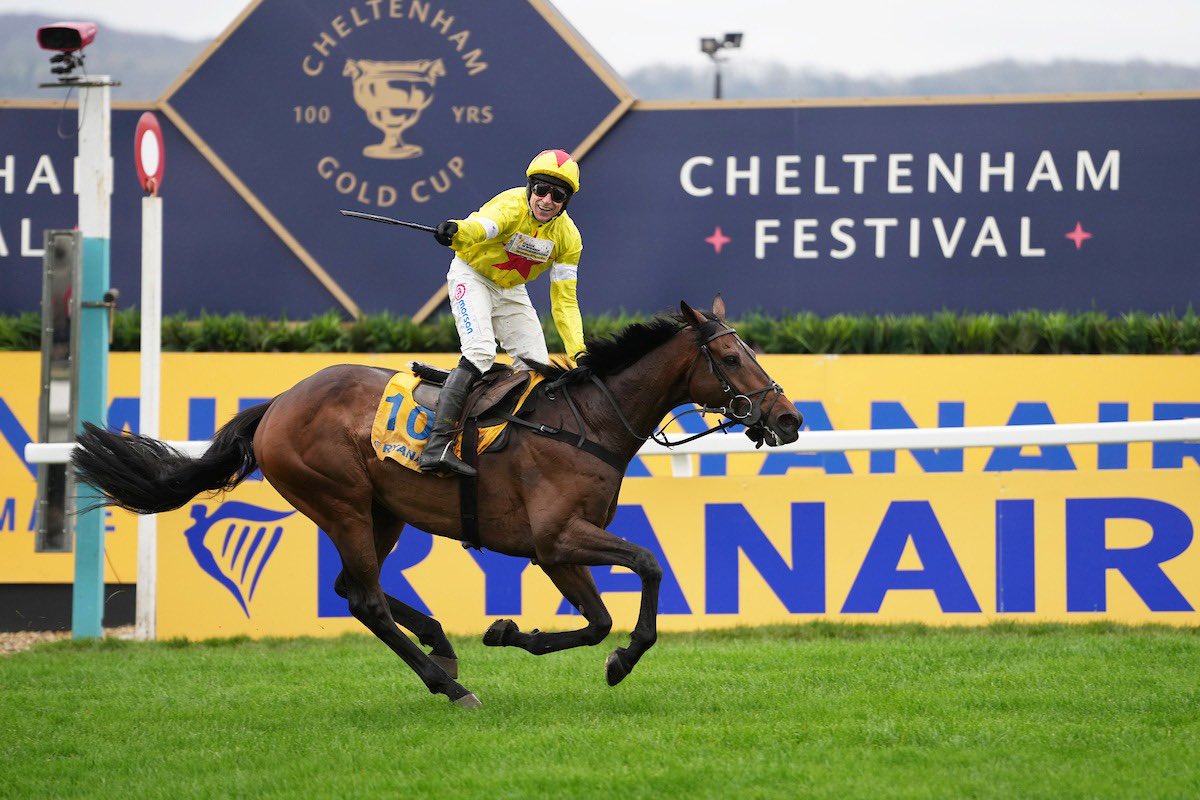 Harry Skelton tweet media