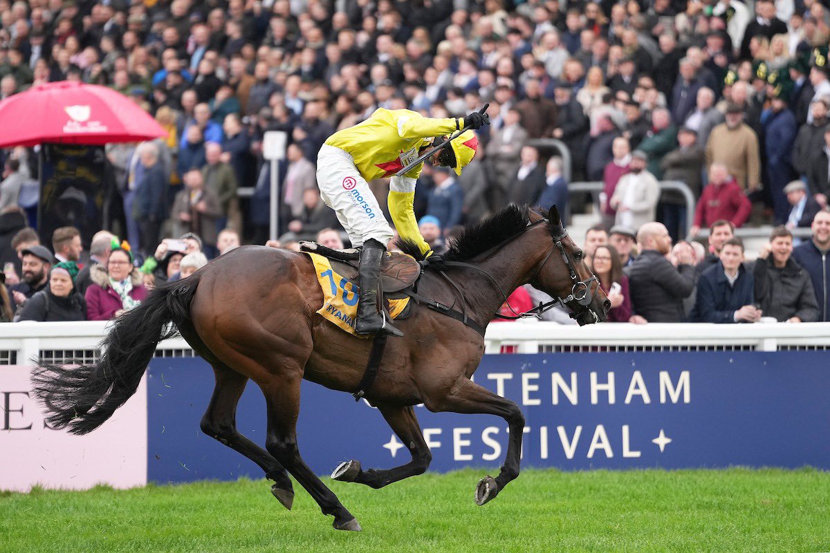 Harry Skelton tweet media