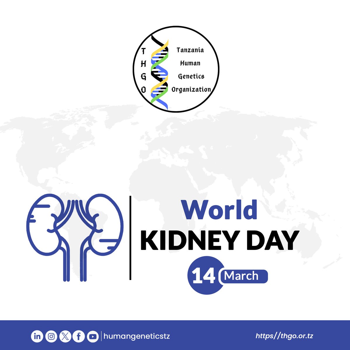 📃Kidney Health for All

THGO joins the world in commemoration of #WorldKidneyDay and advocates for the advancement of equitable access to care and optimal medication practice. 

#KidneyHealthforAll
#WorldKidneyDay
#ShowYourKidneys