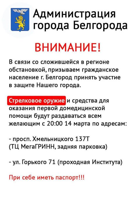 Pilt