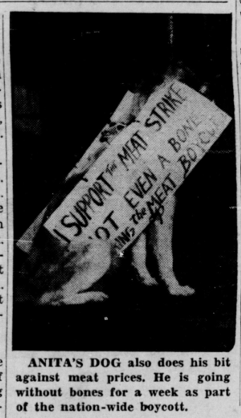 MelissaFordPhD's tweet photo. Today in "Proof Communists Have a Sense of Humor," a dog supporting a meat strike: Daily Worker, 1948 #communist #history #archives #dailyworker #dog https://t.co/ldVSZylxhk