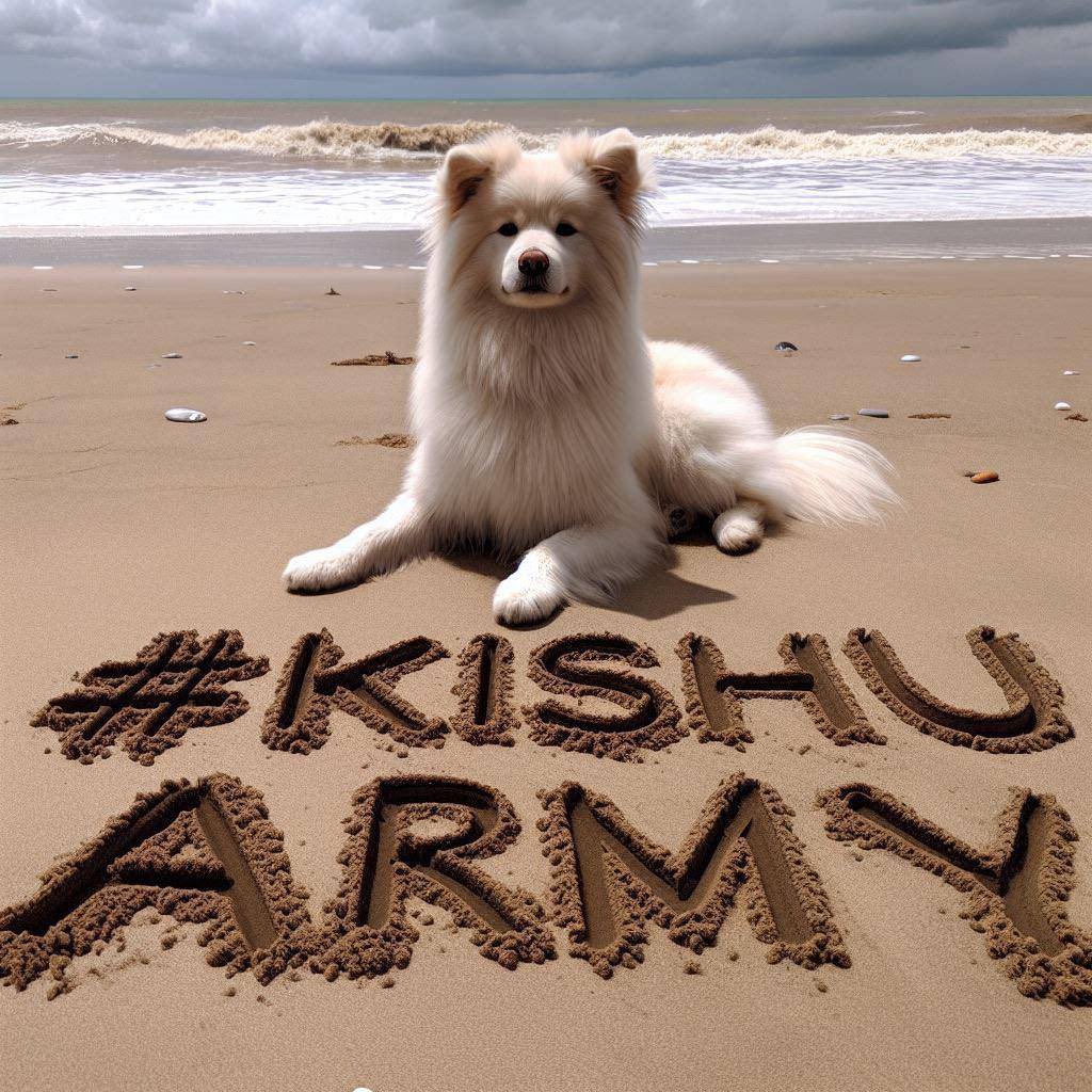 Kishu Inu tweet media