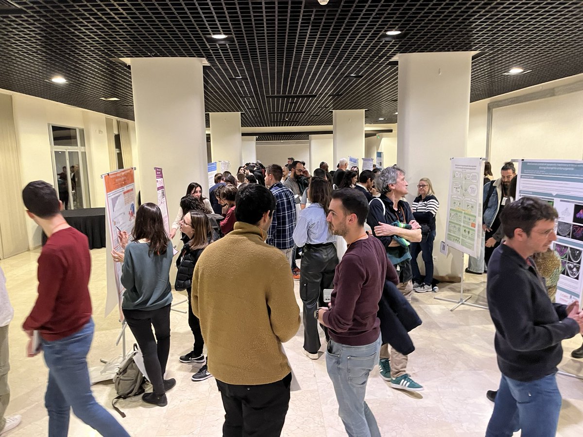 Drosophila Spain tweet media