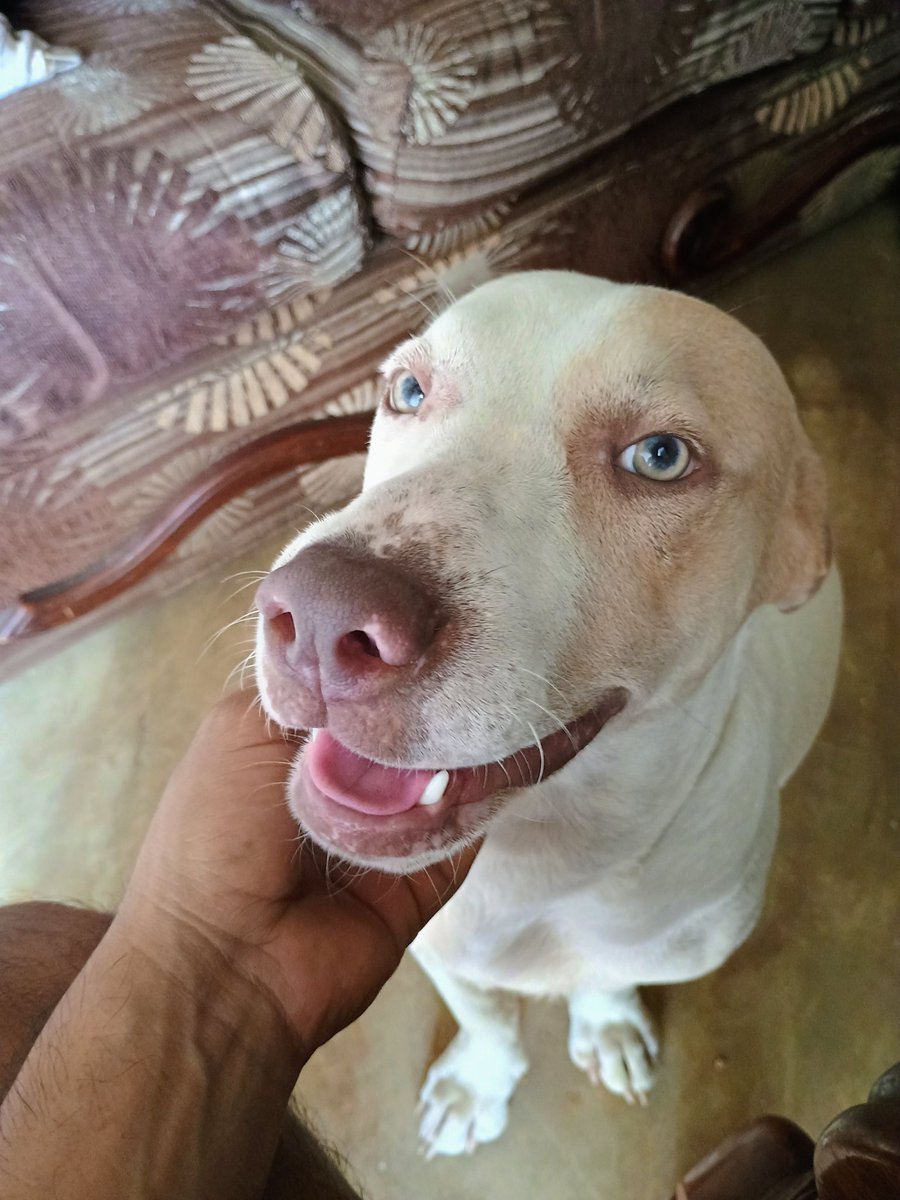 JEICHITO's tweet photo. @twaniimals https://t.co/74TP3ftOpm