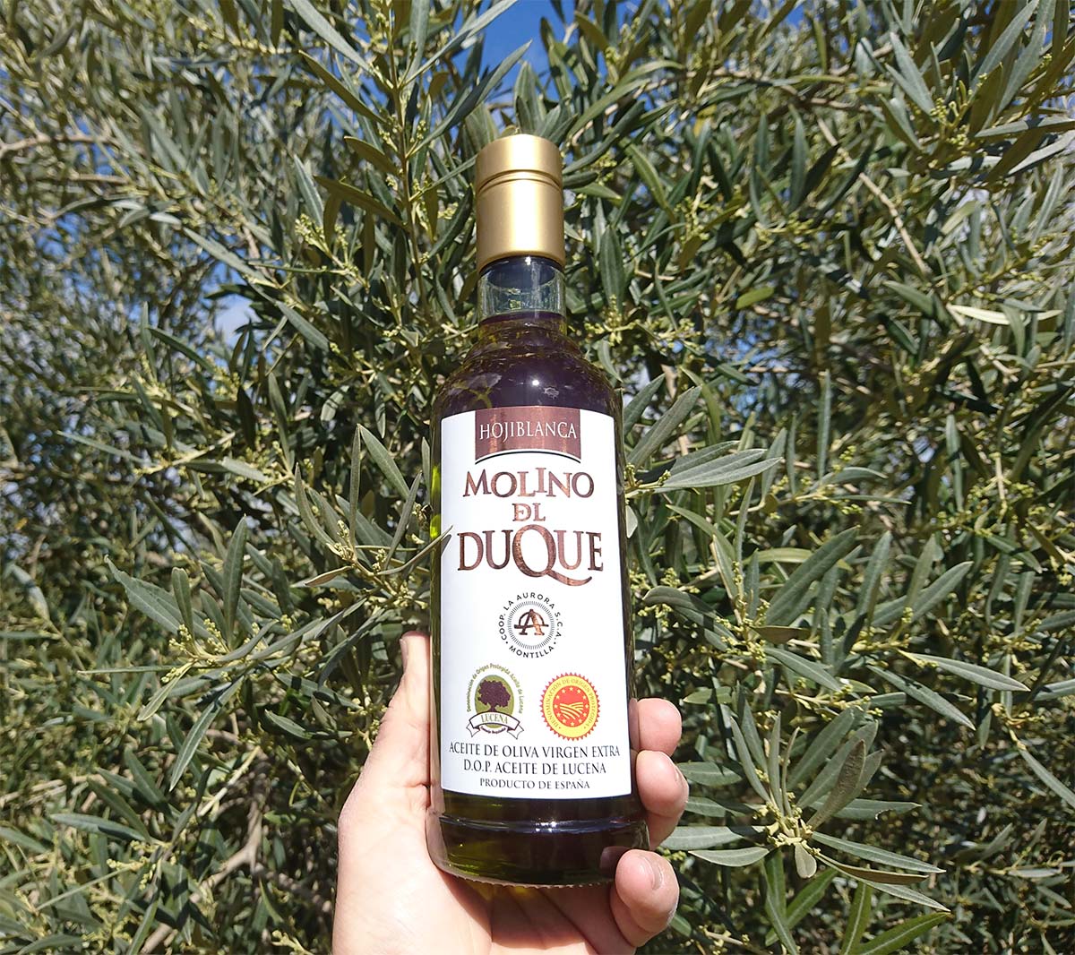 bodegaslaurora's tweet photo. Lanzamos a la venta nuestro nuevo Aove Molino del Duque Hojiblanca 2024, 100% elaborado con esta variedad de aceituna que tanto gusta a nuestros clientes. Prepárate para la Semana Santa y llena tu despensa del oro líquido de nuestra tierra. 💚👌https://t.co/EcOKSjoEqf https://t.co/eMBVPALtq4