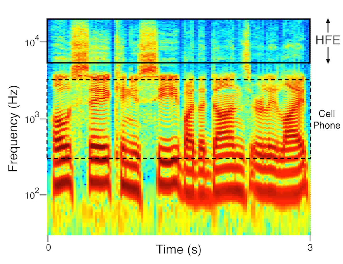 Acoustical Society of America tweet media