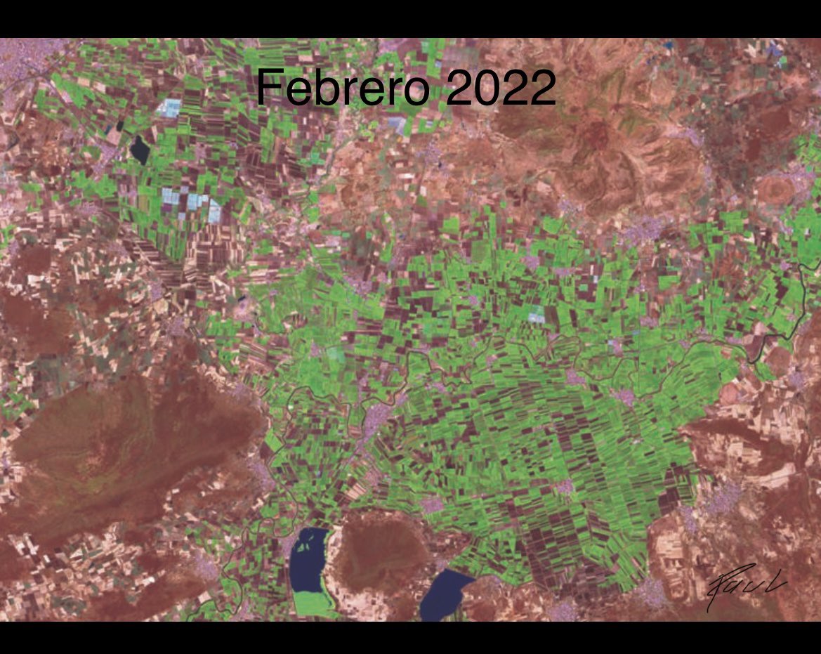 PaulGarciameza's tweet photo. El impacto en la reducción superficie de siembra es abrumador en Bajío mexicano.

El uso de tecnología que permita hacer eficiente el agua es necesario.

83.5 % menos superficie sembrada por falta de agua en el sur de Guanajuato. https://t.co/2lP6whXVTj