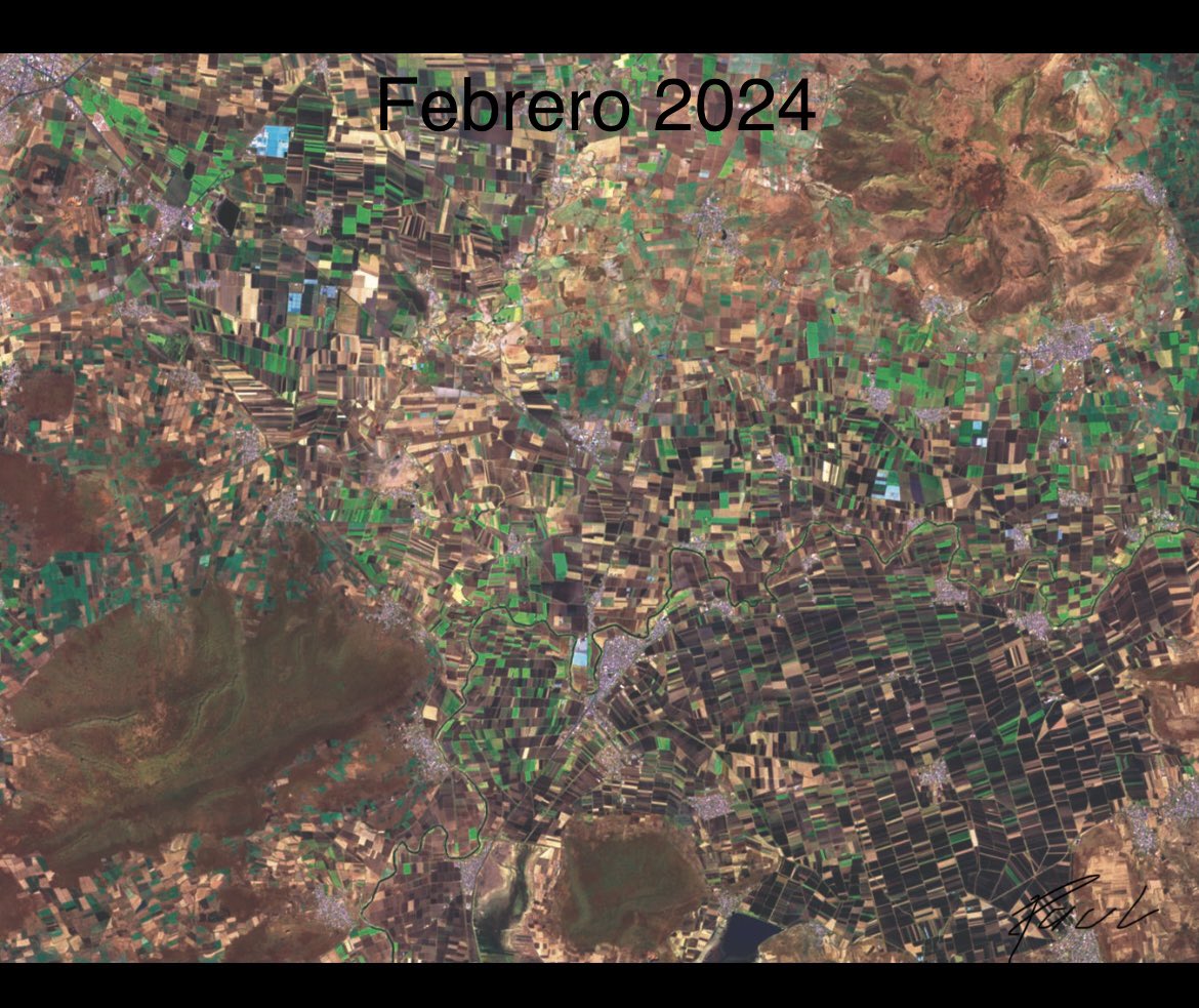 PaulGarciameza's tweet photo. El impacto en la reducción superficie de siembra es abrumador en Bajío mexicano.

El uso de tecnología que permita hacer eficiente el agua es necesario.

83.5 % menos superficie sembrada por falta de agua en el sur de Guanajuato. https://t.co/2lP6whXVTj