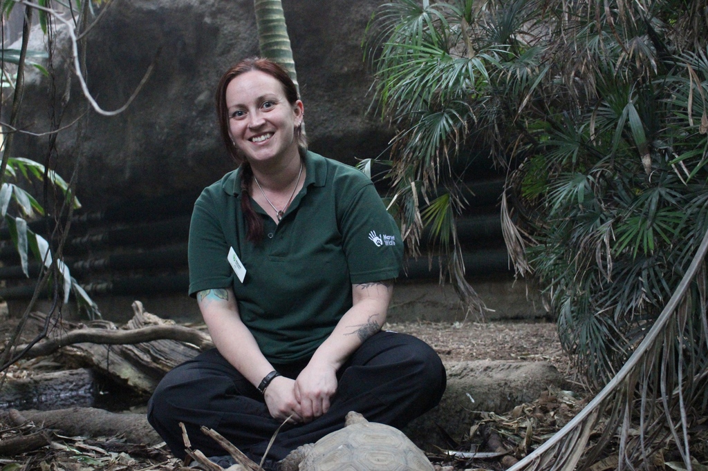 How our spider keeper cured her arachnophobia 🕷️ Read full article: bit.ly/3wQuwWd When our Senior Animal Keeper, Ali Reynolds started in the Animal Care Team at Marwell Zoo she was terrified of spiders. Read how she cured her fear by working with them every day! 💚