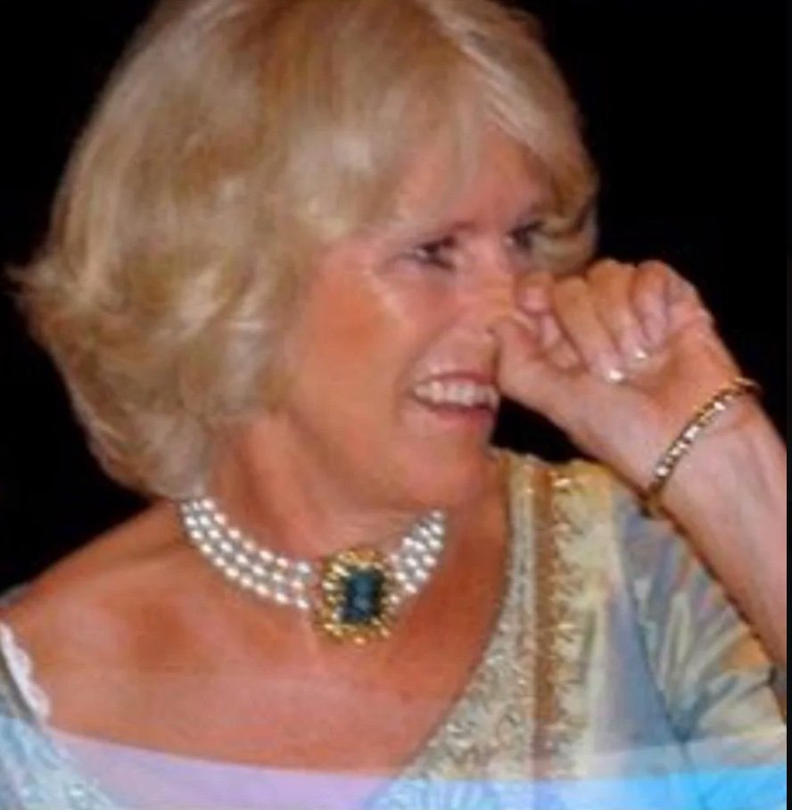 thePumamama's tweet image. You mean, TAMPON "Queen".😂
#PickAWinner