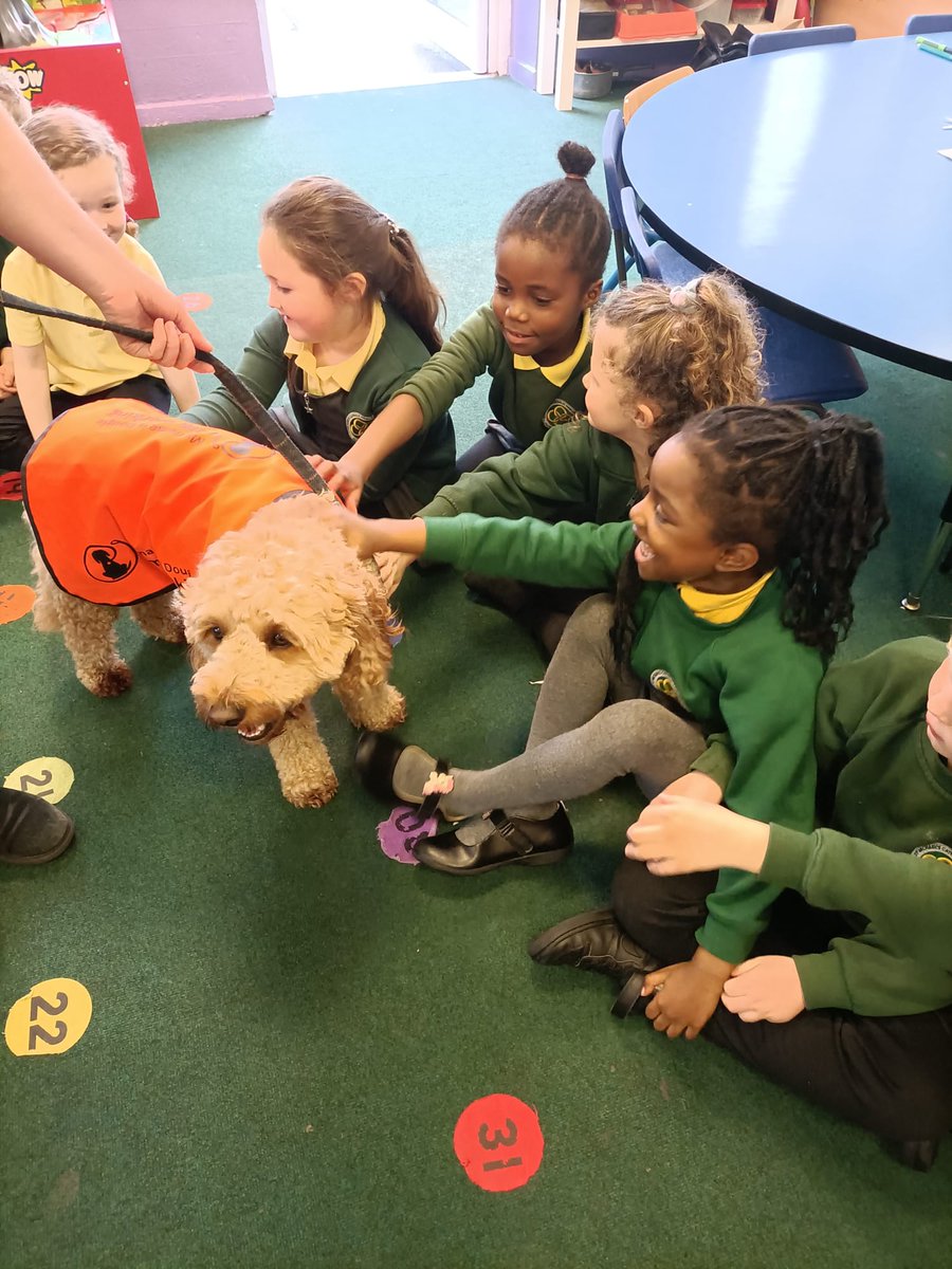 DogMentorSTM's tweet photo. Yet another busy and successful day for Dougie today at St Michael's, encouraging children with their intervention work.
A big Dougie thank you to reception class, year 1 and year 3 for welcoming him today.
@DougieCNS
@stmichaelswales 
@TheDogMentorUK https://t.co/bX04dku9gv