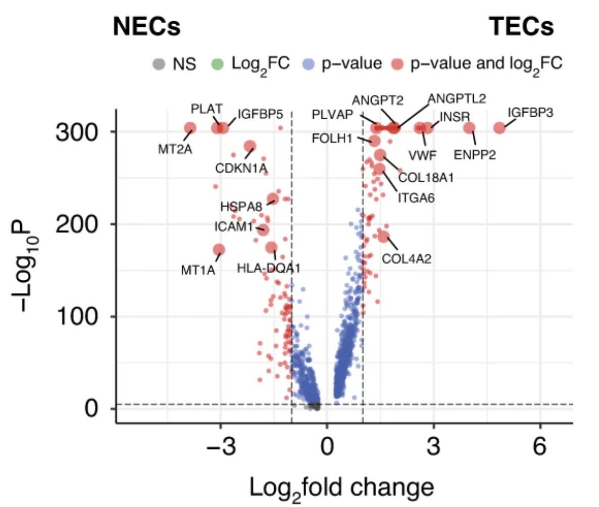 Shreeram Akilesh 🐙 tweet media