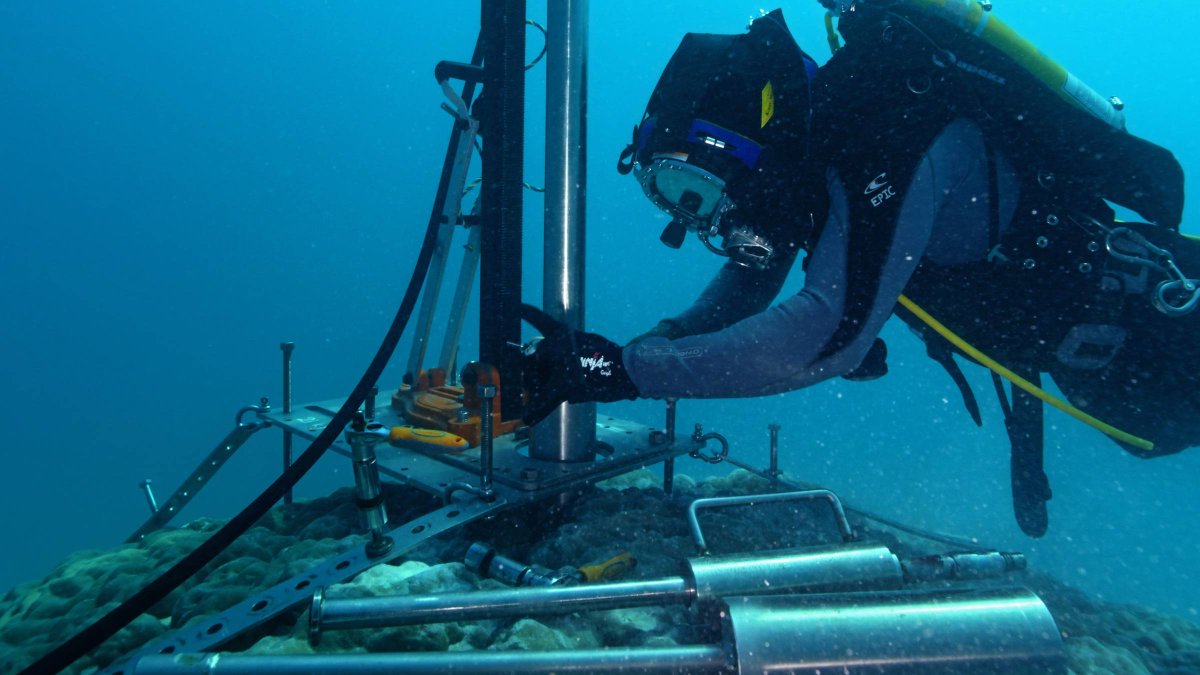 Meet <a href="/gbr_neal/">Neal Cantin</a> 👋

Dr Cantin is a coral reef #biologist who specialises in studying how coral reefs respond to climate change. He conducts aerial surveys + in-water observations during #coralbleaching events, &amp; he studies #climatechange using nature’s history book - coral cores.