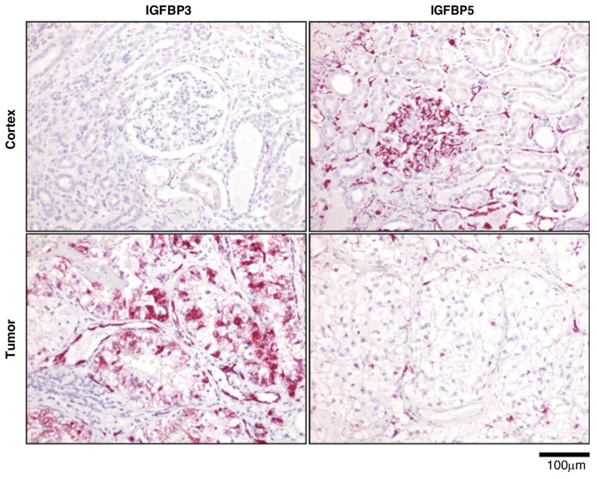 Shreeram Akilesh 🐙 tweet media